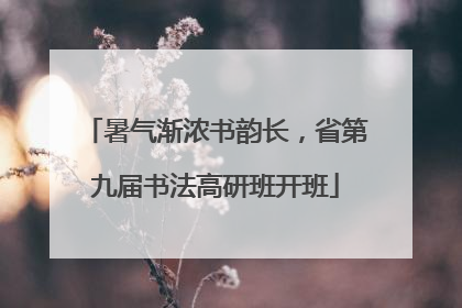 暑气渐浓书韵长，省第九届书法高研班开班