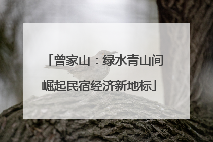 曾家山：绿水青山间崛起民宿经济新地标