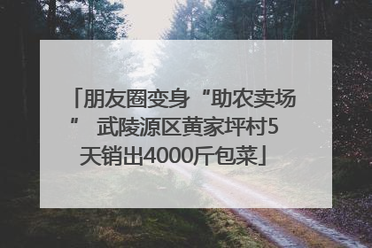 朋友圈变身“助农卖场” 武陵源区黄家坪村5天销出4000斤包菜