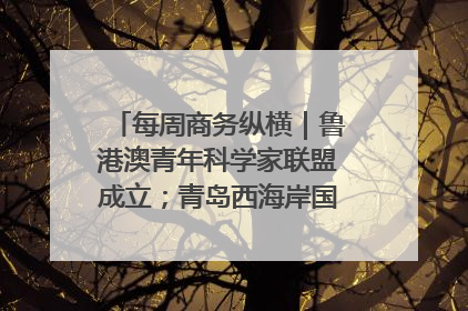 每周商务纵横｜鲁港澳青年科学家联盟成立；青岛西海岸国际能源自贸港启用