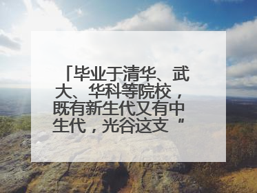 毕业于清华、武大、华科等院校，既有新生代又有中生代，光谷这支“理工男团”为何“出道”？