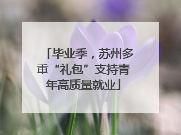 毕业季，苏州多重“礼包”支持青年高质量就业