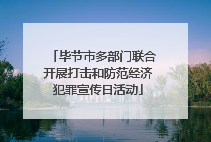 毕节市多部门联合开展打击和防范经济犯罪宣传日活动
