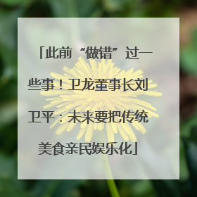 此前“做错”过一些事！卫龙董事长刘卫平：未来要把传统美食亲民娱乐化