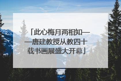 此心梅月两相知——唐建教授从教四十载书画展盛大开幕