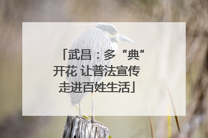 武昌：多“典”开花 让普法宣传走进百姓生活