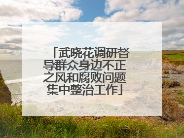 武晓花调研督导群众身边不正之风和腐败问题集中整治工作