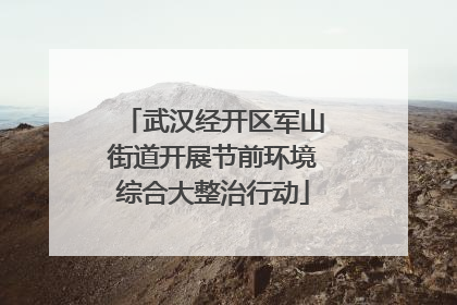 武汉经开区军山街道开展节前环境综合大整治行动