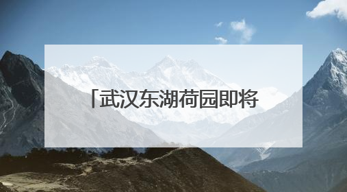 武汉东湖荷园即将开园 1200余种荷花竞相绽放