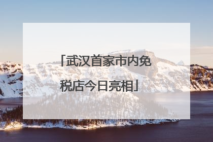 武汉首家市内免税店今日亮相