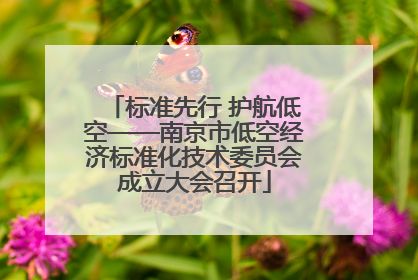 标准先行 护航低空——南京市低空经济标准化技术委员会成立大会召开