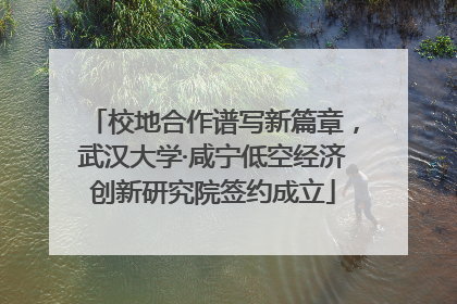 校地合作谱写新篇章，武汉大学·咸宁低空经济创新研究院签约成立