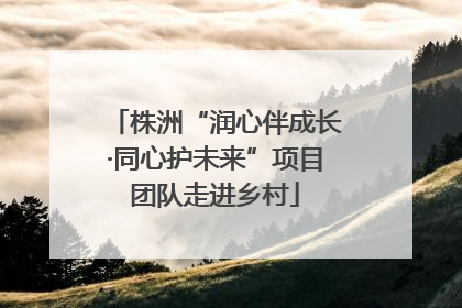 株洲“润心伴成长·同心护未来”项目团队走进乡村