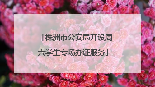 株洲市公安局开设周六学生专场办证服务