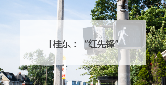 桂东：“红先锋”邓耀明的油茶梦