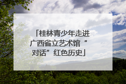 桂林青少年走进广西省立艺术馆“对话”红色历史
