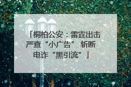 桐柏公安：雷霆出击严查“小广告” 斩断电诈“黑引流”
