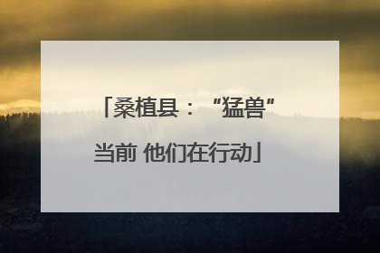 桑植县：“猛兽”当前 他们在行动