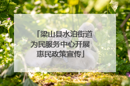 梁山县水泊街道为民服务中心开展惠民政策宣传