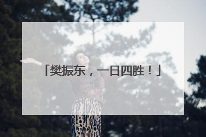 樊振东，一日四胜！