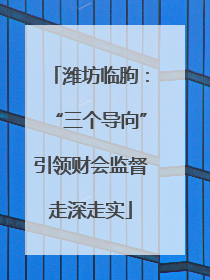 潍坊临朐：“三个导向”引领财会监督走深走实