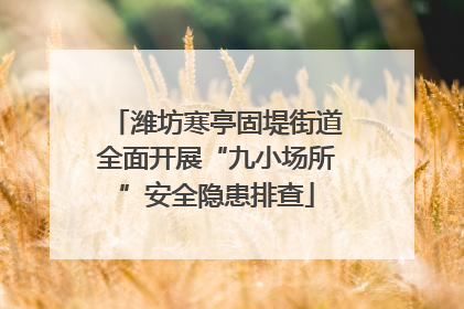 潍坊寒亭固堤街道全面开展“九小场所”安全隐患排查