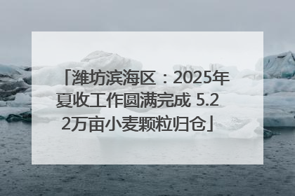 潍坊滨海区：2025年夏收工作圆满完成 5.22万亩小麦颗粒归仓