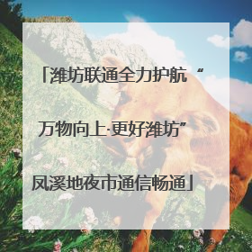 潍坊联通全力护航“万物向上·更好潍坊”凤溪地夜市通信畅通