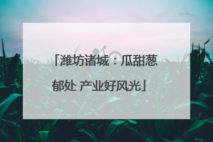 潍坊诸城：瓜甜葱郁处 产业好风光
