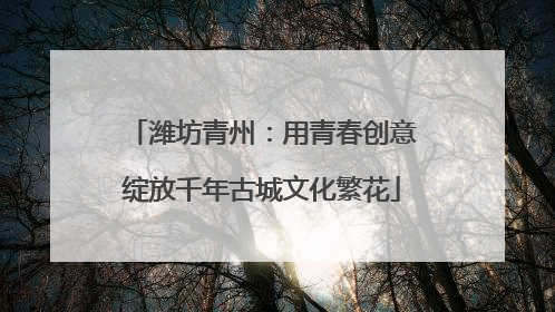 潍坊青州：用青春创意绽放千年古城文化繁花