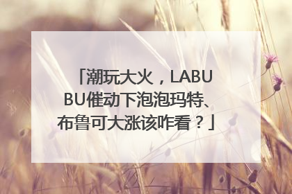 潮玩大火，LABUBU催动下泡泡玛特、布鲁可大涨该咋看？