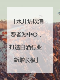 水井坊以消费者为中心，打造白酒行业新增长极