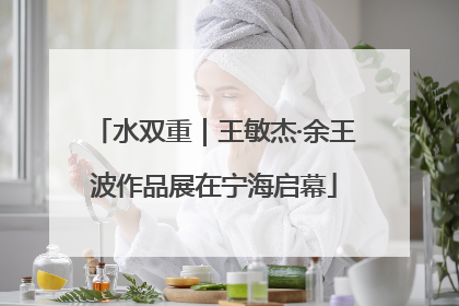 水双重｜王敏杰·余王波作品展在宁海启幕