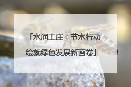 水润王庄：节水行动绘就绿色发展新画卷