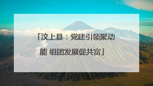 汶上县：党建引领聚动能 组团发展促共富