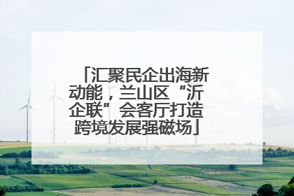 汇聚民企出海新动能，兰山区“沂企联”会客厅打造跨境发展强磁场