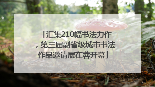 汇集210幅书法力作，第三届副省级城市书法作品邀请展在蓉开幕
