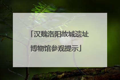 汉魏洛阳故城遗址博物馆参观提示