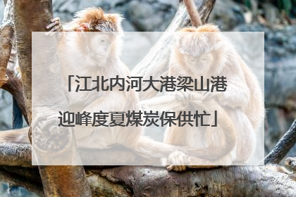 江北内河大港梁山港迎峰度夏煤炭保供忙