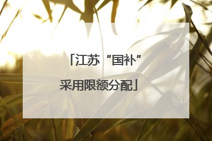 江苏“国补”采用限额分配
