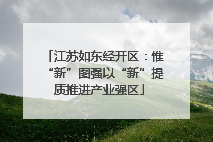 江苏如东经开区：惟“新”图强以“新”提质推进产业强区