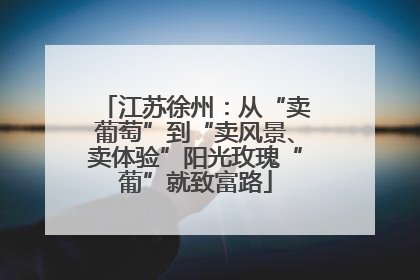 江苏徐州：从“卖葡萄”到“卖风景、卖体验”阳光玫瑰“葡”就致富路
