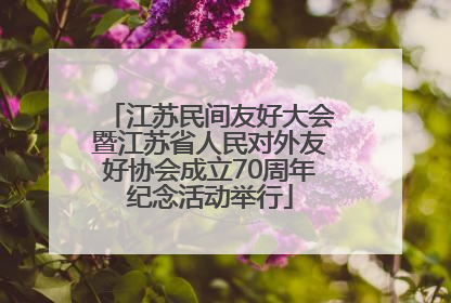 江苏民间友好大会暨江苏省人民对外友好协会成立70周年纪念活动举行