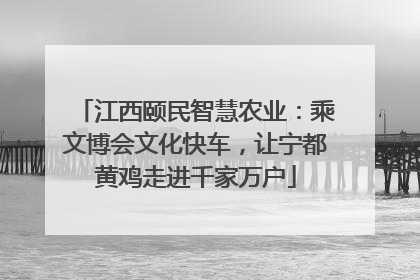 江西颐民智慧农业：乘文博会文化快车，让宁都黄鸡走进千家万户