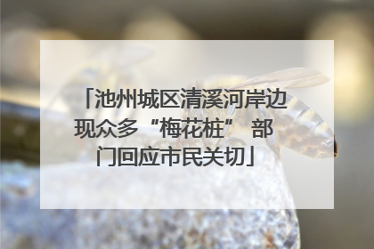 池州城区清溪河岸边现众多“梅花桩” 部门回应市民关切