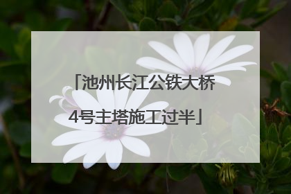 池州长江公铁大桥4号主塔施工过半