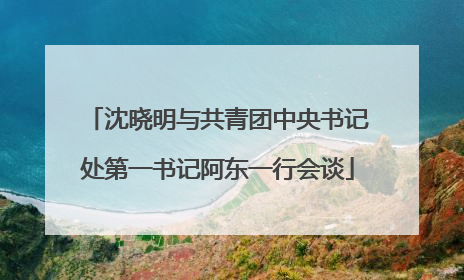 沈晓明与共青团中央书记处第一书记阿东一行会谈