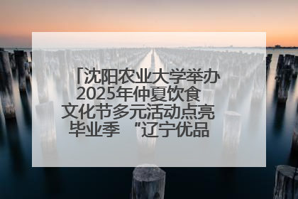 沈阳农业大学举办2025年仲夏饮食文化节多元活动点亮毕业季 “辽宁优品”进校园首站启动
