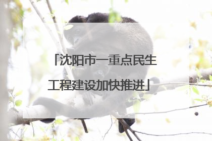 沈阳市一重点民生工程建设加快推进