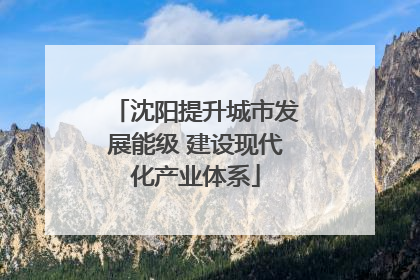 沈阳提升城市发展能级 建设现代化产业体系